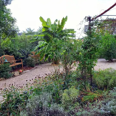 Haus Toskana شقة
